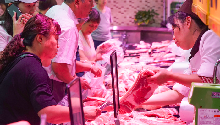 猪价,储备肉,能繁母猪,