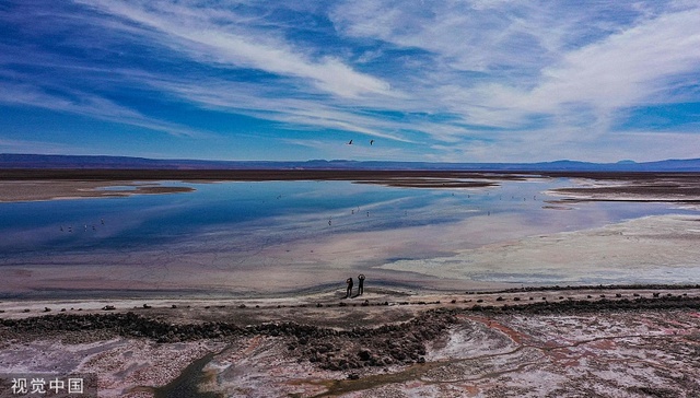 两个多月内上涨1.5倍，天齐锂业股价创历史新高
