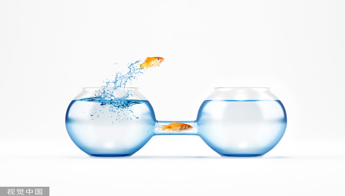 复牌跌停！ 剥开“妖王”中通客车的概念外衣