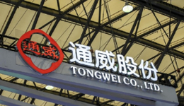 通威股份，3000億狂歡背后