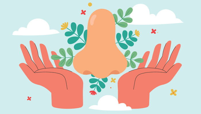 社交网络,流行文化,审美