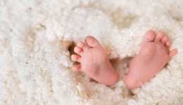 安徽蕪湖統(tǒng)計(jì)局回應(yīng)“人口形勢(shì)嚴(yán)峻”：不能只看負(fù)面數(shù)據(jù)