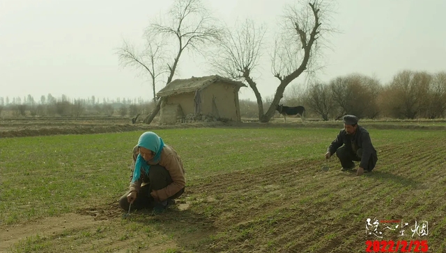 个人意见 | 《隐入尘烟》：这种生命体验与土地血脉相连