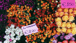 “刺客”刺穿年轻人的钱包