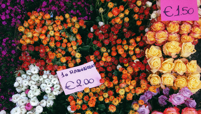 新消费,消费趋势,价格