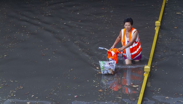 直通部委 | 国家防总针对6省份启动防汛四级应急响应 华南国家植物园今日正式揭牌