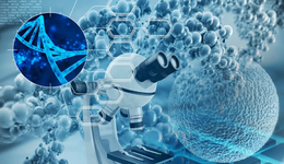 AI应用启示录：资本为何钟情药物研发？