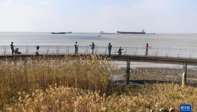 五山,沿江地区,城市客厅,无人机,岸线,生态修复,进退,人水和谐,景色,栈道
