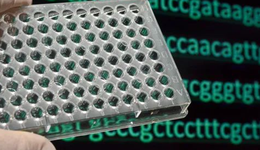 肿瘤NGS企业，为何纷纷转向国产测序平台？