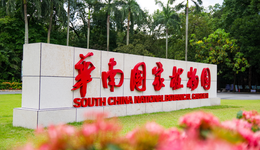 把枸杞变成水果生吃？华南国家植物园接下来会做这几件事