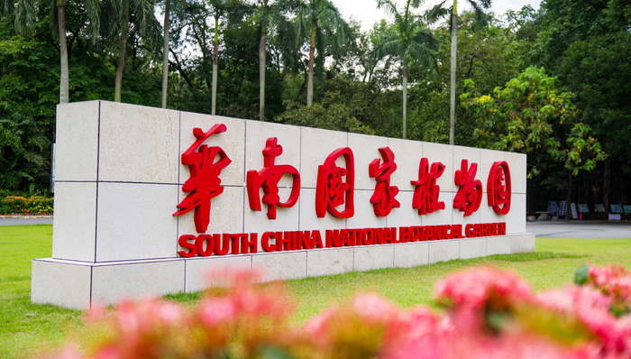 生态保护,广州,粤港澳