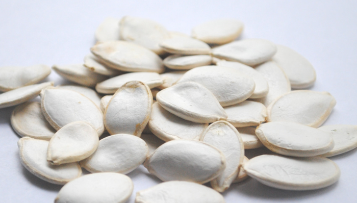 洽洽瓜子,陈先宝,创业,营销