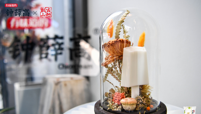 钟薛高,高价雪糕,经销商,销量