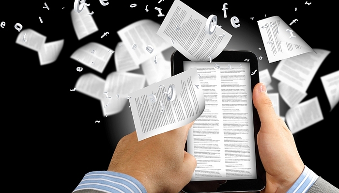 知识产权,高等教育