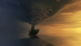 砍单风暴下的台积电