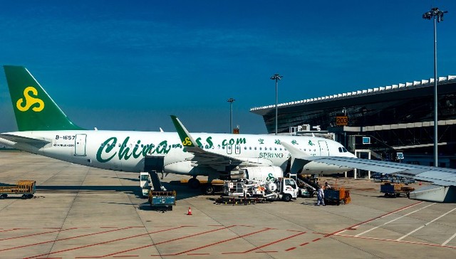 Private carriers’ revenue slumps as tourism stalls