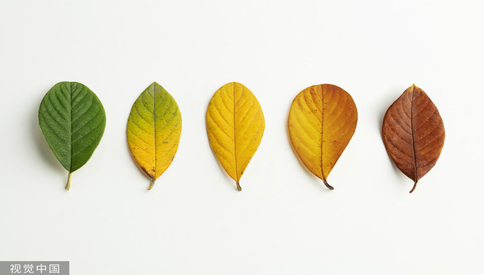 财说 | 动力电池产业链半年考：天齐锂业百倍增长，比亚迪股价新高，国轩高科蒙阴影