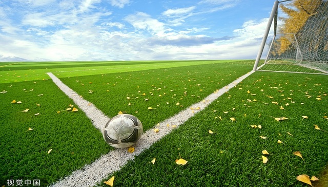 IPO雷达 | 净利率波动诡异，青岛青禾外币交易藏猫腻