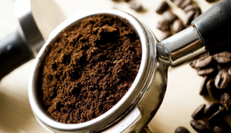 連續(xù)6個(gè)月增長，下個(gè)小家電黑馬會(huì)是它嗎？