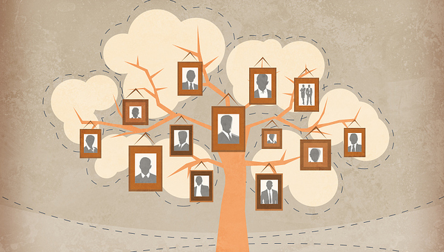 可识别26种凭证，网商银行“百灵系统”如何探索人机互动信贷技术？