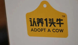 認(rèn)養(yǎng)一頭牛，故事的結(jié)尾沒有IPO