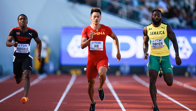 看着田径世锦赛，不禁想问人为何非要跑步