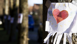 高管被拘、业绩惨淡，老牌婚恋平台世纪佳缘还当得好“红娘”吗？