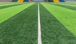 IPO雷达 | 批量创投机构突击入股，全球人造草坪老二青岛青禾仍然钱紧