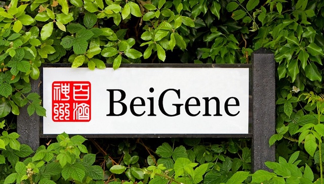 本土创新药出海再遇阻，诺华暂缓百济神州PD-1在美一重要适应症上市计划