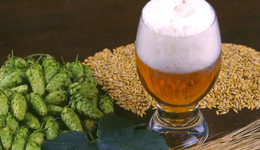 啤酒走起复古风，怀旧牌背后是什么