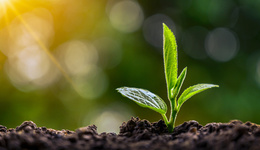 生态环境部严打环评造假，265家单位和217人被列入“黑名单”