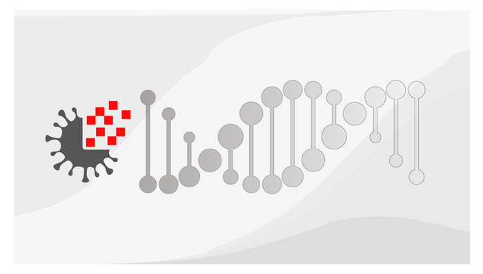 病毒,图解,新冠肺炎