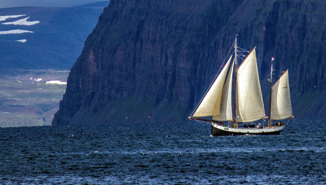 武汉,长沙,深圳,电商,消费