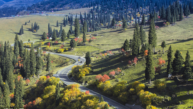 游客激增，新疆独库公路变“垃圾公路”