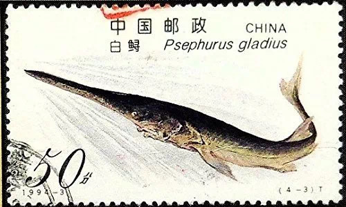 长江,动物保护,灭绝