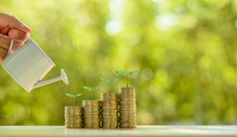 震驚！空倉的基金最受寵？金信量化、華安安進(jìn)兩只凈申購竟然超40億份