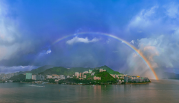 18家香港基因独角兽独中12家，红杉席卷香港早期科技投资