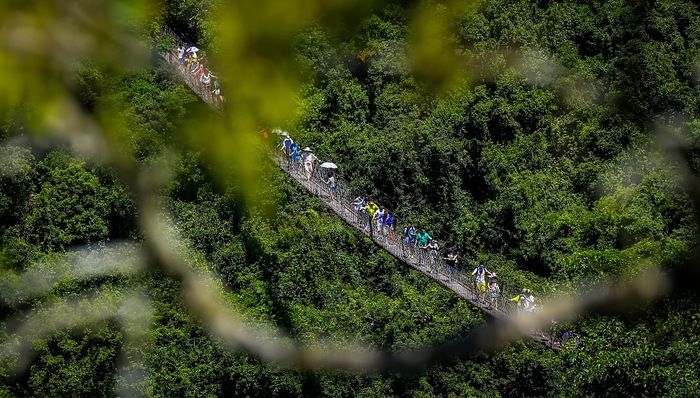 【深度】碳市场CCER重启需求迫切，交易系统已具备上线条件