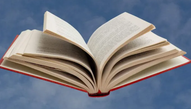 文学,豆瓣,饭圈,小组