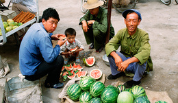 【圖集】“盛夏之王”西瓜：從普通人的“空調(diào)”到助增收的“甜蜜經(jīng)濟(jì)”