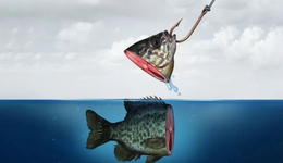 趣店進軍預制菜“畫餅”招商，還未開始便已結束？