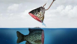 趣店進軍預制菜“畫餅”招商，還未開始便已結束？狂歡背后有何圖謀？