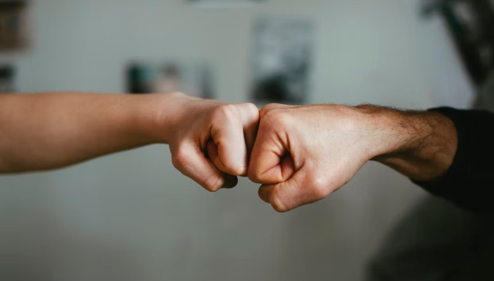 二创,短视频,长视频平台,内容合作