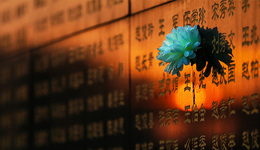 【圖集】唐山大地震46周年