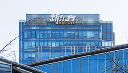 业绩下滑股价大涨？新东方2022财年亏逾11亿美元，营收展望仍大幅下降