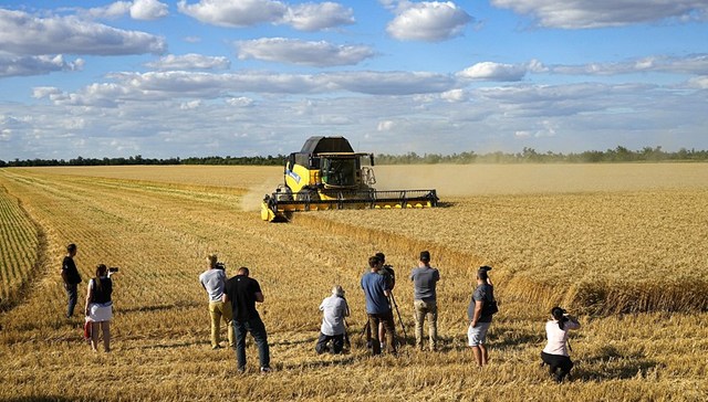 乌克兰,俄罗斯,黑海,运粮