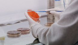 科学家创业者，被VC抢疯了