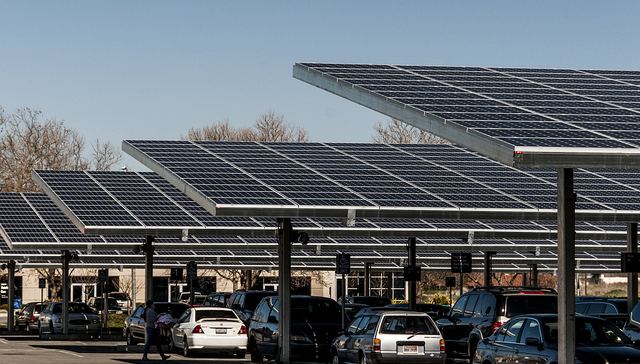 环球汽车制造商上半年表现