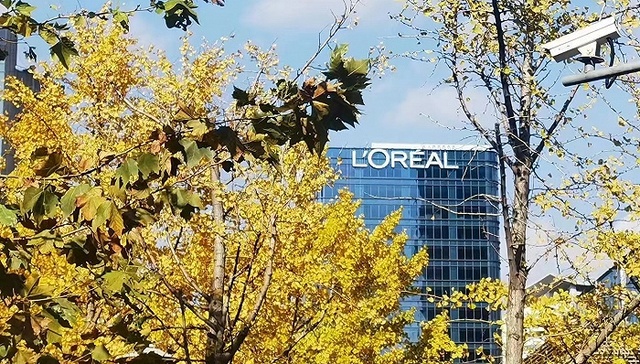欧莱雅旗下品牌在未来半年内或将继续涨价