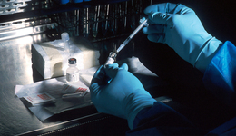 肿瘤液体活检十年，谁在和这艘“火箭”一起腾空？